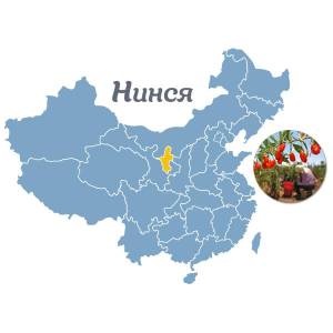 Регион Нинся